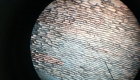 celula_vegetal 06