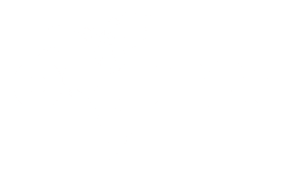 LOGO SAO JOAO DEL REI